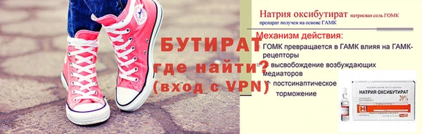 индика Инсар
