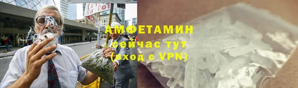 индика Инсар