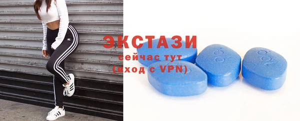 индика Инсар