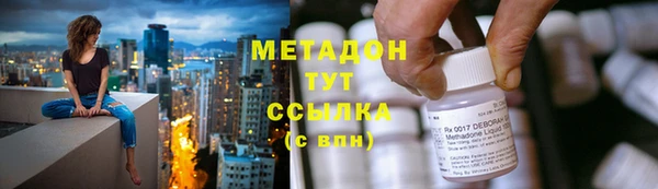 индика Инсар