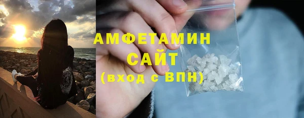 индика Инсар