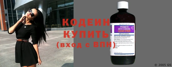 индика Инсар