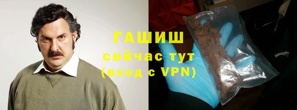 индика Инсар