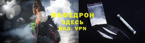 индика Инсар
