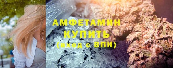 индика Инсар