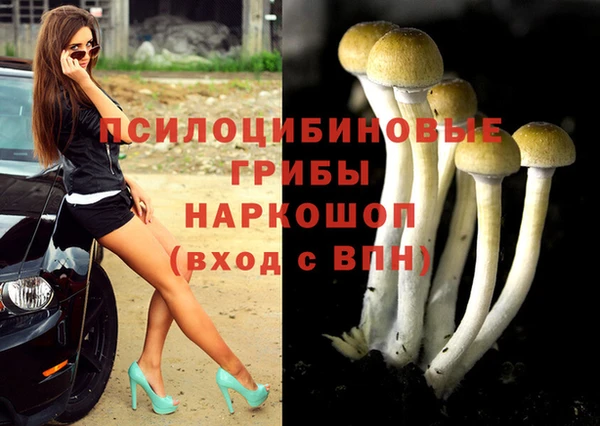 бошки Зеленодольск