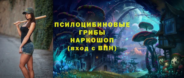 индика Инсар
