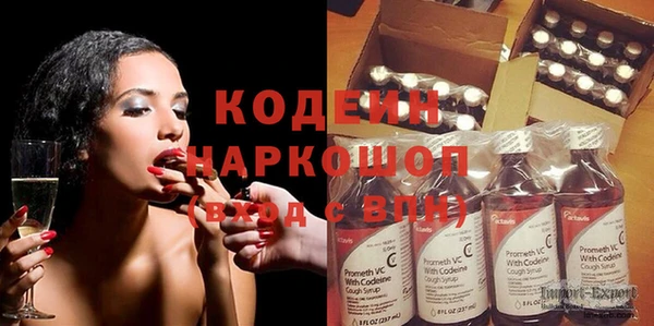 индика Инсар