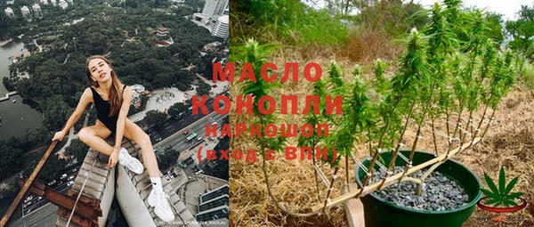 индика Инсар