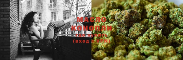 индика Инсар