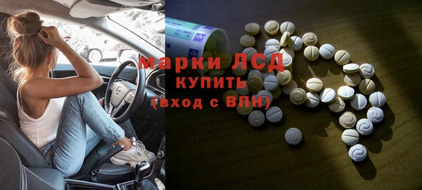 индика Инсар
