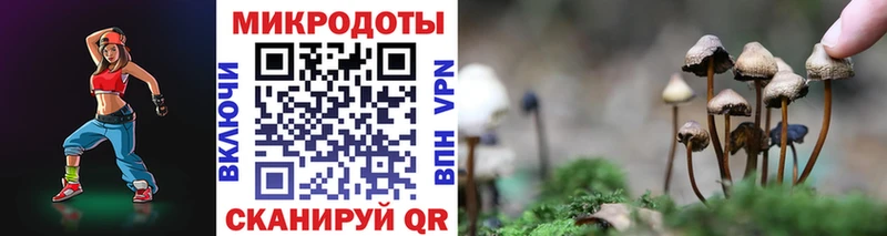 Псилоцибиновые грибы Cubensis наркошоп Щёлково